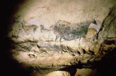 Felsmalerei einer schwarzen Kuh, um 17000 v. Chr.